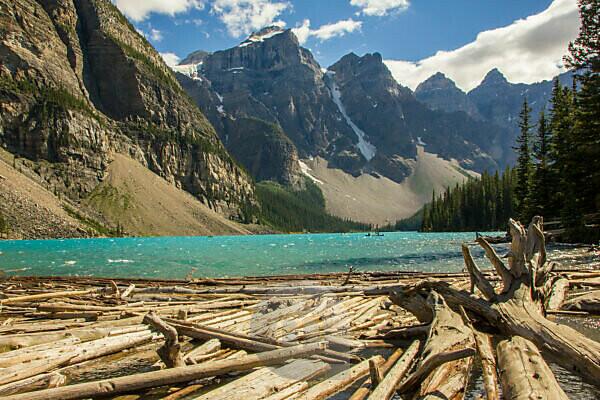 Bildagentur Mauritius Images Moraine Lake Mit Treibholz Baumstamme Im Wasser Berge Alberta Kanadische Rocky Mountains