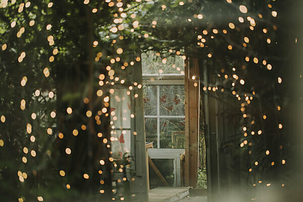 Alternative wedding, garden shed, strings of lights