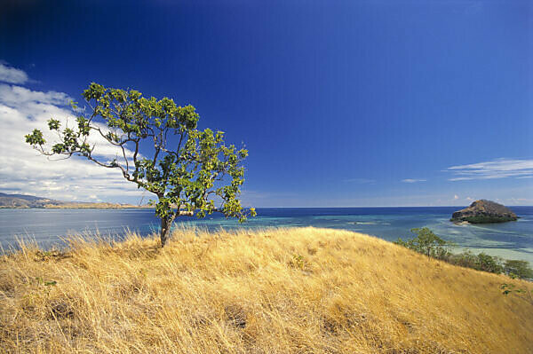 Bildagentur, mauritius images