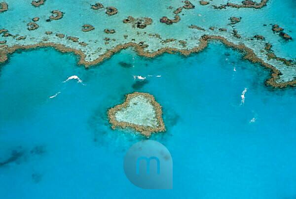 Bildagentur, mauritius images