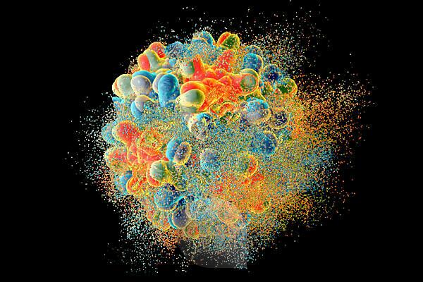 Bildagentur Mauritius Images Destruction Of Hepatitis B Virus Computer Illustration Conceptual Image For Hepatitis B Treatment And Prevention