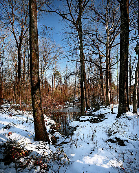 Bildagentur Mauritius Images I Wanted To Get Out And Get A Few Snow Photos Since It Rarely Snows In Arkansas This Spot Is Between A Busy Bulevard In Little Rock