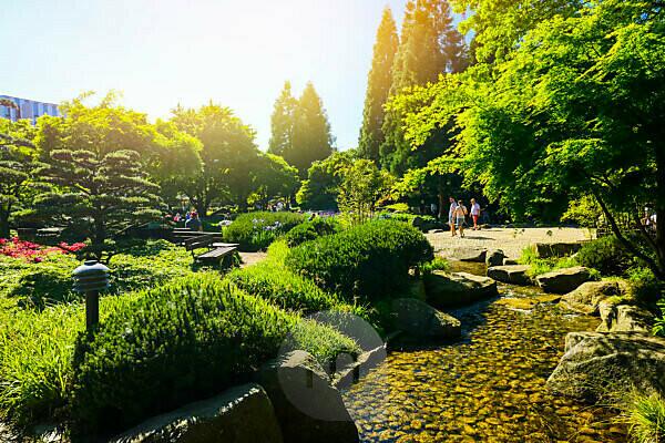 Bildagentur | mauritius images | Japanischer Garten im Park Planten un  Blomen in Hamburg, Deutschland