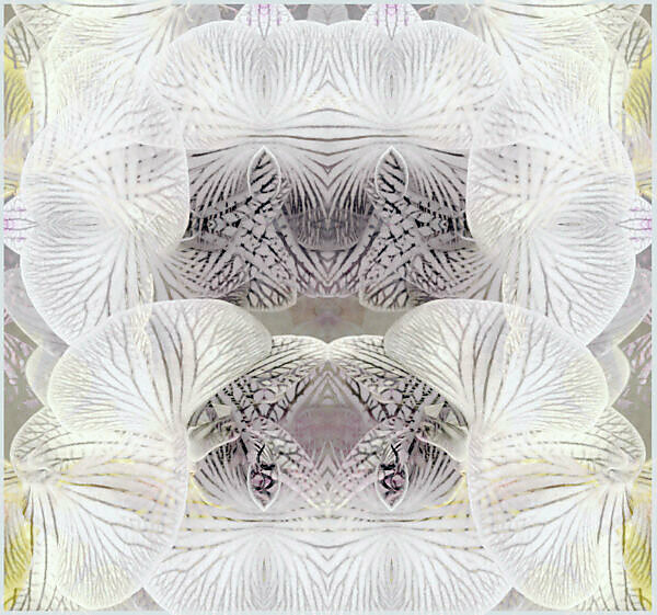 photographic flowers ornament,