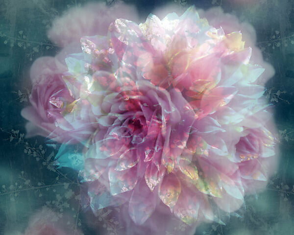 photomontage, flowers, blur,