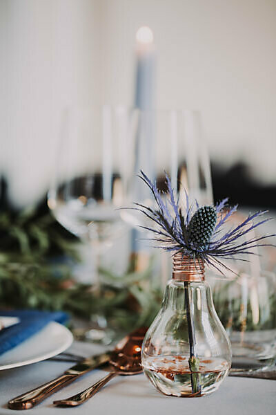 laid wedding table, detail, lightbulb, thistle, blur,