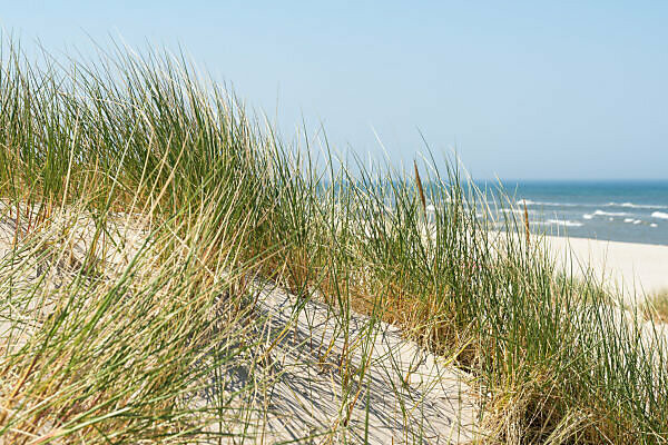 Bildagentur Mauritius Images Polen Slowinzischer Nationalpark Ostseekuste Wanderdune Seegras