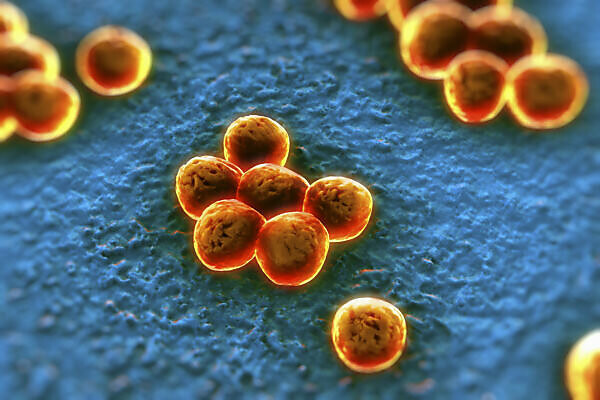 Bildagentur mauritius images Clusters of superbug MRSA