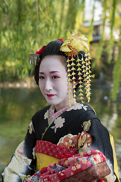 Apprentice Geisha (Maiko), Women Dressed in Traditional Costume, Kimono,  Kyoto, Honshu, Japan