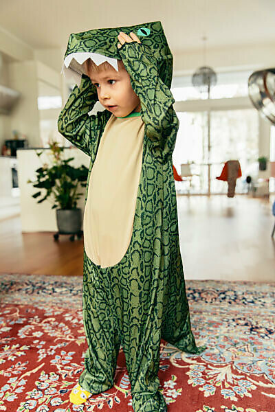 Little me hot sale dinosaur outfit