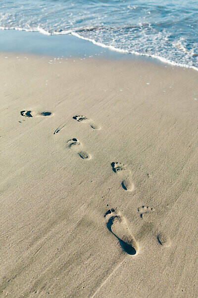 Tracks in sand