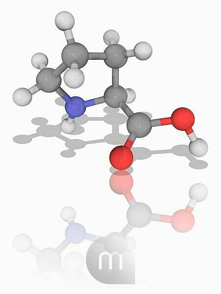 Bildagentur Mauritius Images Proline Molecular Model Of The Non Essential Alpha Amino Acid Proline C5 H9 N O2 One Of The Dna Encoded Amino Acids Atoms Are Represented As Spheres And Are Colour Coded Carbon Grey