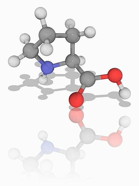 Bildagentur Mauritius Images Proline Molecular Model Of The Non Essential Alpha Amino Acid Proline C5 H9 N O2 One Of The Dna Encoded Amino Acids Atoms Are Represented As Spheres And Are Colour Coded Carbon Grey