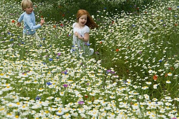 Bildagentur Mauritius Images Children Running In Field Of Flowers