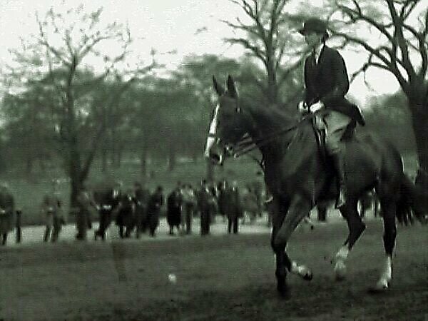 Bildagentur mauritius images Stirrupless Rider In The Row