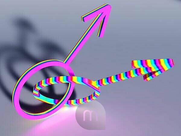 Bildagentur Mauritius Images Computergrafik Symbole Fur Das Mannliche Geschlecht Homosexualitat Symbol Mannlich Zeichen Zwei Bunt Pink Regenbogenfarben Verbunden Mann Manner Homosexuell Schwul Geschlechter Symbolisch Paar Partner