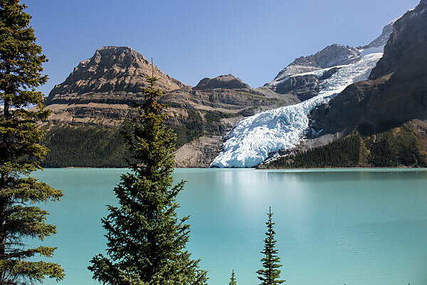 Bildagentur Mauritius Images Canada British Columbia Canadian Rockies Mount Robson Provincial Park Mountain Lake Robson Glacier