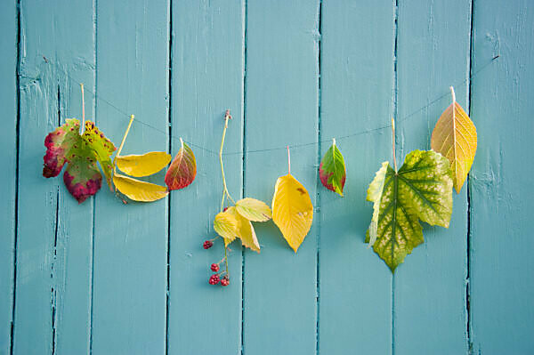 Autumn decoration with leaves garland