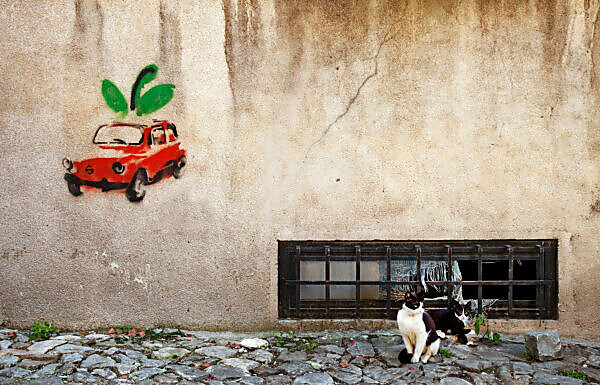 Zastava, Graffiti, street art, Belgrade, Serbia