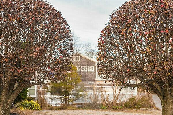 Bildagentur Mauritius Images Usa New England Massachusetts Cape Cod Provincetown Winter