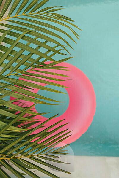 Bildagentur | mauritius images | Palm leaf and pink inflatable