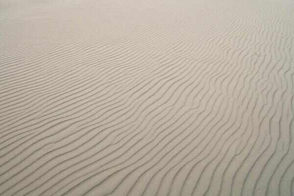 Europe, Wadden Sea, North Sea, North Sea island, Germany, North Frisia, Schleswig-Holstein, Amrum - Small island big freedom