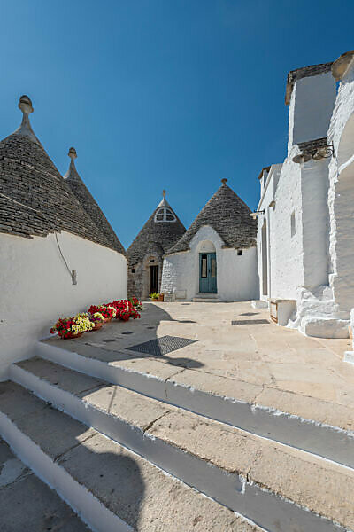 Alberobello, Bari province, Salento, Puglia, Italy, Europe. The typical trulli houses with their cone-shaped roof in the drywall style