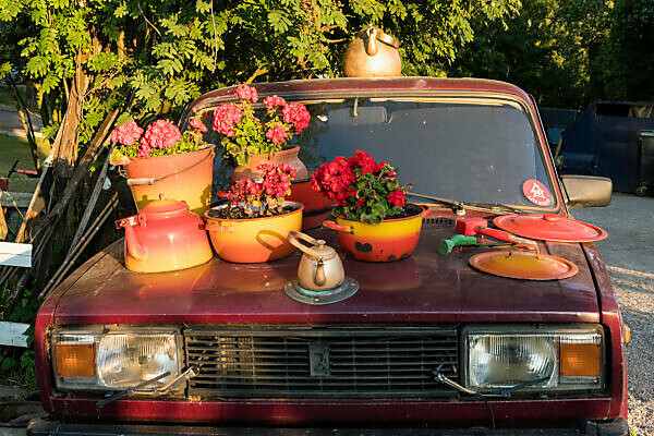 Helsinki, Café Regatta, vintage car with flower arrangements
