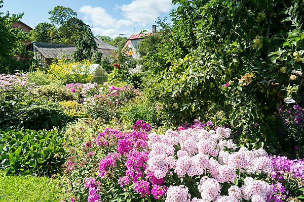 Estonia, Baltic Sea island Saaremaa, island capital Kuressare, flower garden