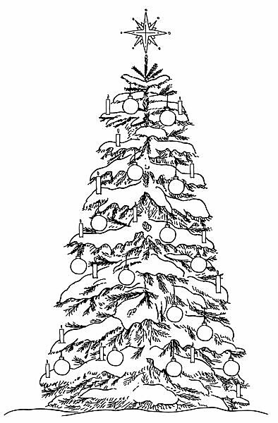 Bildagentur Mauritius Images Snow Covered Christmas Tree With Candles Baubles And Star Lace In Black White For Coloring