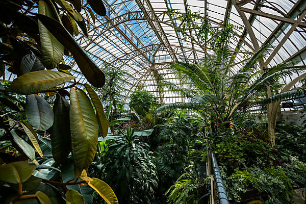 Bildagentur Mauritius Images Greenhouse Conservatory Conservatory Greenhouse Christchurch Botanic Gardens New Zealand South Island